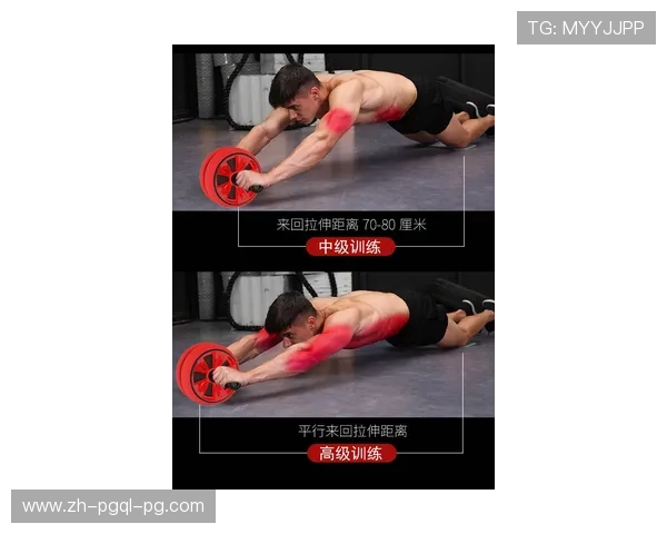 腹部健身器材使用方法:有效锻炼腹肌的器材推荐 腹部健身器材使用方法:有效锻炼腹肌的器材推荐